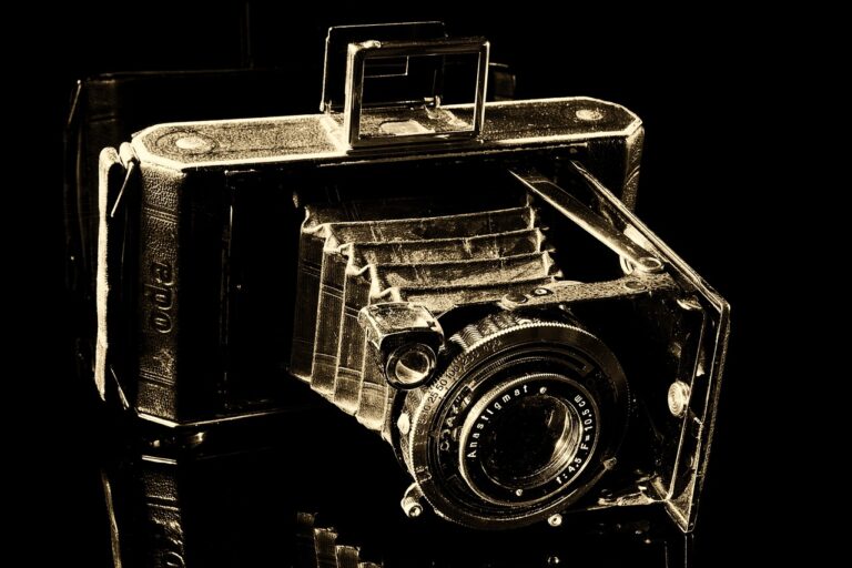 camera, balgenkamera, old